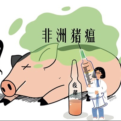 春季猪场该如何防控非洲猪瘟？