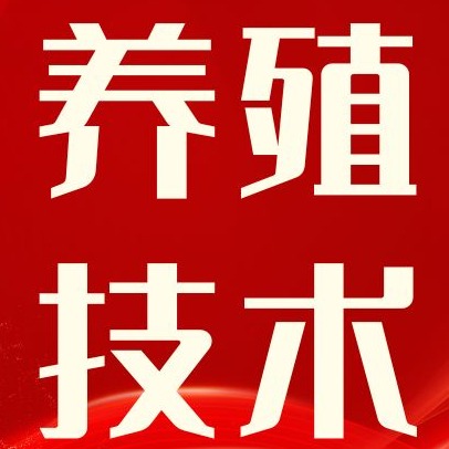 预混料怎么选才不踩坑？