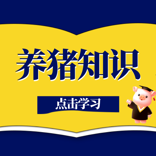 小小料槽、病猪栏藏大学问！猪场建设关键细节一次讲清