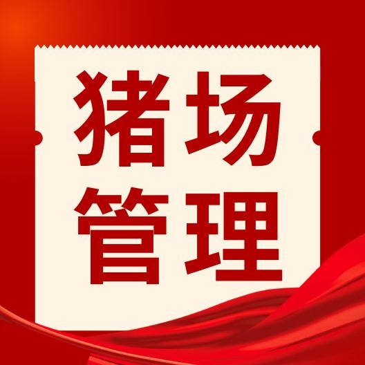 产房管理不到位，仔猪成活率上不去？