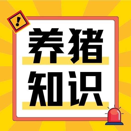 春季猪场该如何防控非洲猪瘟？