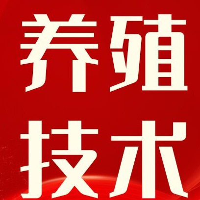 仔猪断奶腹泻高发难防？综合防控全攻略来了