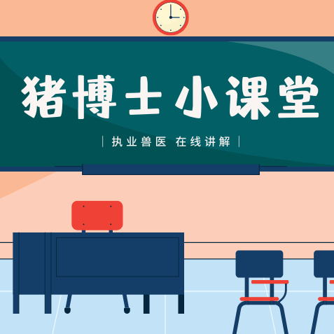 母猪孕期气血怎么补？看懂这篇，难产弱仔全减少
