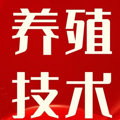 测温、行为识别、预警全覆盖！智慧养猪迎来大变革