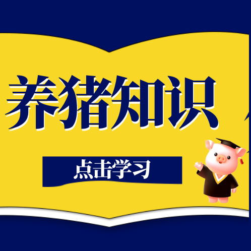 猪场总闹病？原来不是病菌惹的祸，竟是&ldquo;环境&rdquo;养出来的病！