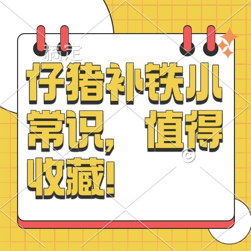 仔猪补铁小常识，值得收藏！