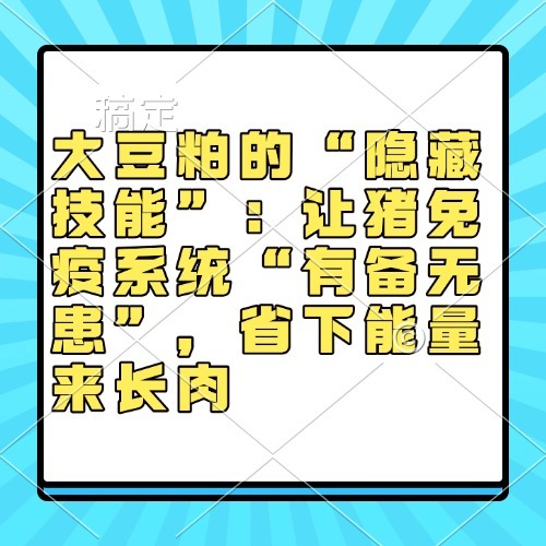 大豆粕的&ldquo;隐藏技能&rdquo;：让猪免疫系统&ldquo;有备无患&rdquo;，省下能量来长肉