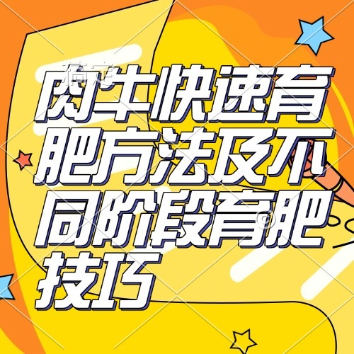 肉牛快速育肥方法及不同阶段育肥技巧