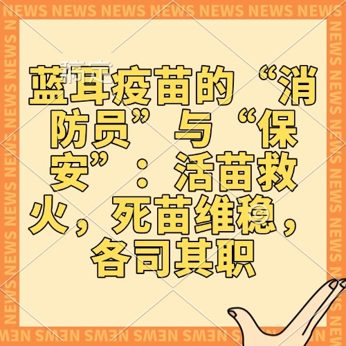 蓝耳疫苗的&ldquo;消防员&rdquo;与&ldquo;保安&rdquo;：活苗救火，死苗维稳，各司其职