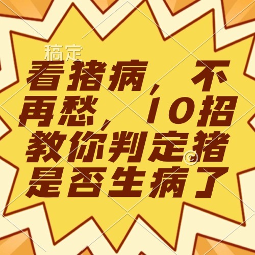 看猪病，不再愁，10招教你判定猪是否生病了