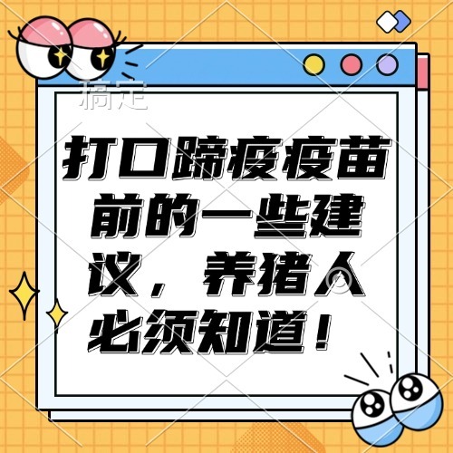 打口蹄疫疫苗前的一些建议，养猪人必须知道！