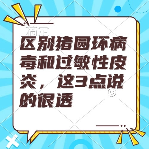 区别猪圆环病毒和过敏性皮炎，这3点说的很透