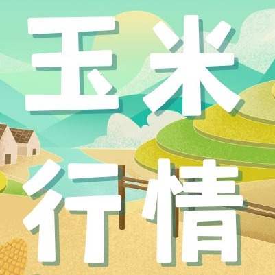 2026年4月16日全国各省市玉米价格行情，底部支撑存在，玉米回落空间或将不大！