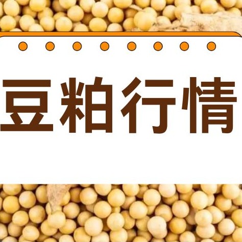 2026年4月16日全国各省市豆粕价格行情，4月豆粕弱势下行，下旬筑底还是继续探底？