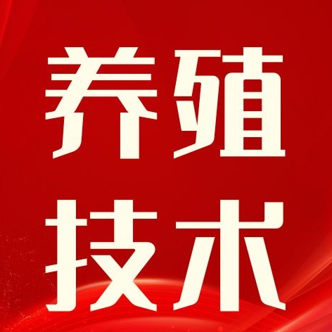 如何将母猪转化为成功的母猪？后备母猪培育八大关键