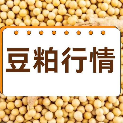 2026年4月17日全国各省市豆粕价格行情，4月中下旬豆粕延续震荡偏弱，短期难改弱势！