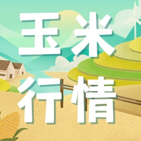 2026年4月17日全国各省市玉米价格行情，玉米涨跌陷入&ldquo;停滞&rdquo;，短暂市场以盘整为主！