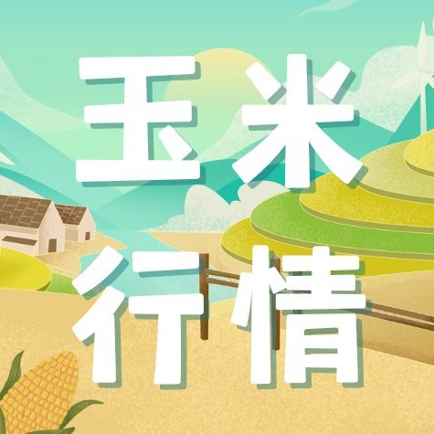 2026年4月19日全国各省市玉米价格行情，多地小幅上涨，均价2391元/吨，还会涨吗？