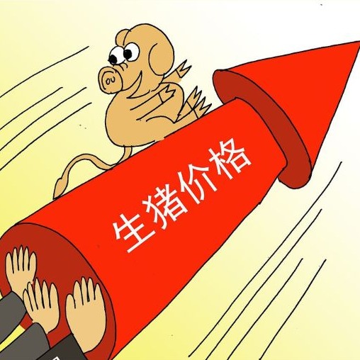 2026年4月20日全国各省市外三元生猪价格，全线飘红！猪价五一前行情彻底反转？