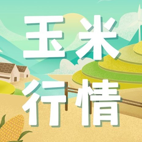 2026年4月20日全国各省市玉米价格行情，市场多空博弈,玉米价格盘整运行！