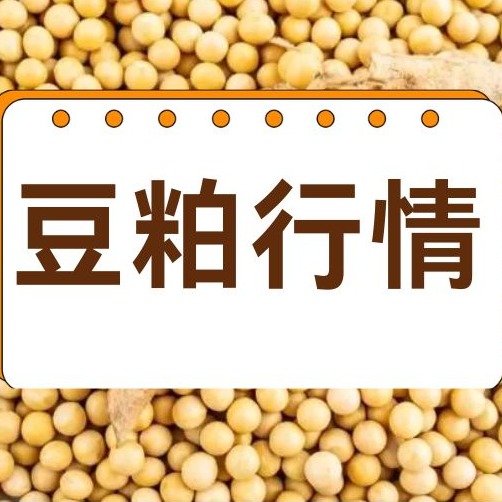 2026年4月20日全国各省市豆粕价格行情，豆粕弱势寻底，何时迎来反转？