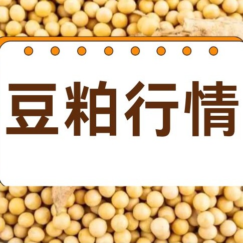 2026年4月23日全国各省市豆粕价格行情，豆粕市场窄幅震荡，短期难有大涨？
