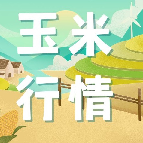 2026年4月23日全国各省市玉米价格行情，购销双减，玉米价格短期内或维持弱稳！