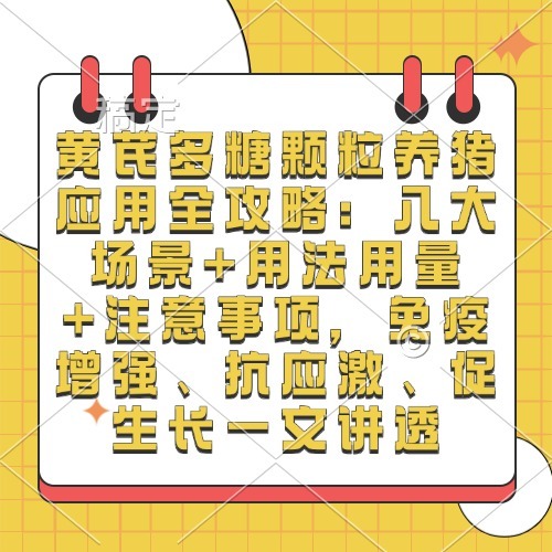 黄芪多糖颗粒养猪应用全攻略：八大场景+用法用量+注意事项，免疫增强、抗应激、促生长一文讲透