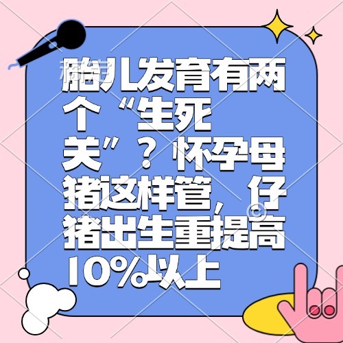 胎儿发育有两个&ldquo;生死关&rdquo;？怀孕母猪这样管，仔猪出生重提高10%以上
