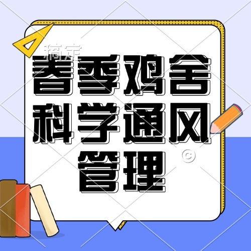 春季鸡舍科学通风管理