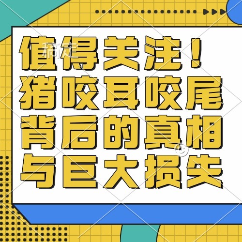 值得关注！猪咬耳咬尾背后的真相与巨大损失