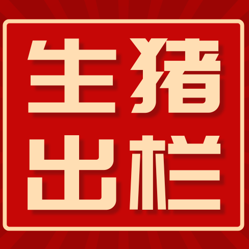 2026猪价进入上行通道，专家提醒：切忌压栏与盲目二次育肥