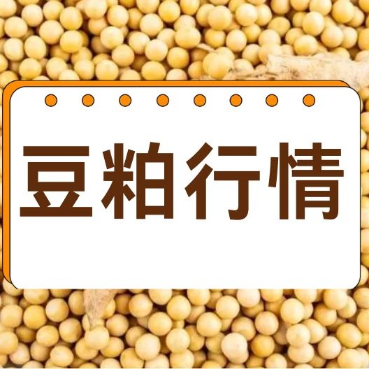 2026年4月28日全国各省市豆粕价格行情，养殖亏损拖累需求，豆粕弱势格局难改？
