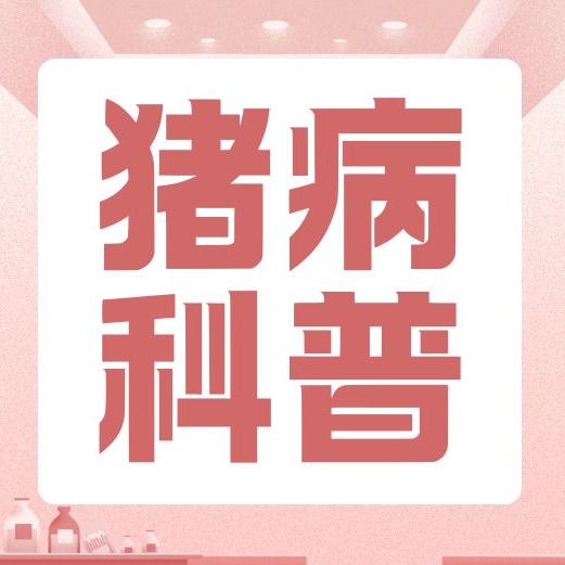 规模化猪场春季驱虫优选方案（含常用药物详解）