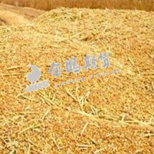 豆系静待方向明朗