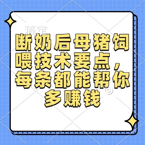 断奶后母猪饲喂技术要点，每条都能帮你多赚钱