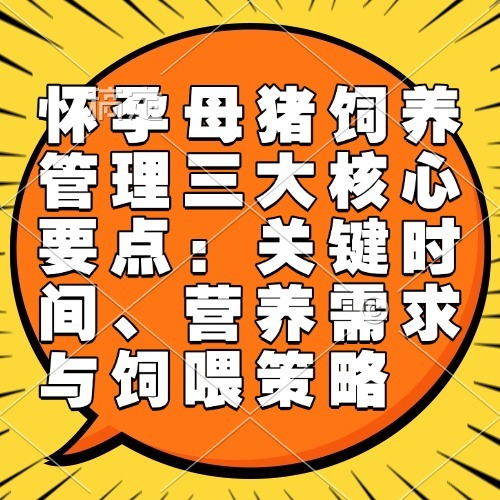 怀孕母猪饲养管理三大核心要点：关键时间、营养需求与饲喂策略
