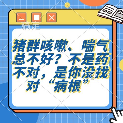 猪群咳嗽、喘气总不好？不是药不对，是你没找对&ldquo;病根&rdquo;