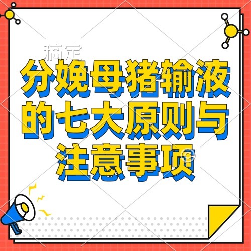 分娩母猪输液的七大原则与注意事项