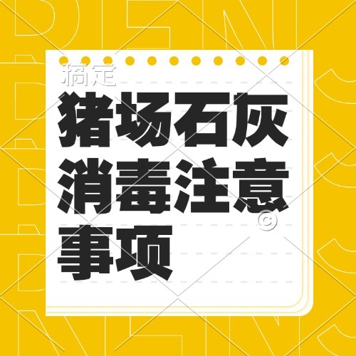 猪场石灰消毒注意事项
