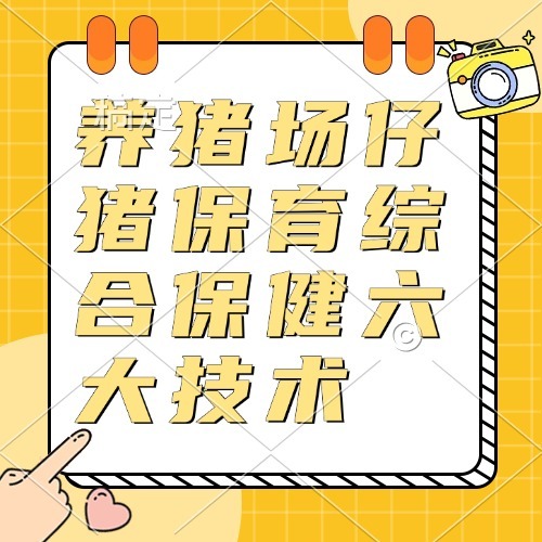 养猪场仔猪保育综合保健六大技术