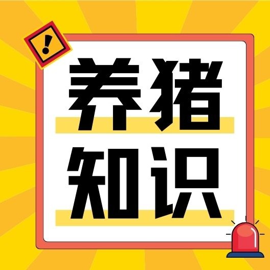 注意了！猪伪狂犬滴鼻免疫要注意这几个方面&hellip;&hellip; 养猪知识大课堂 2026-05-08