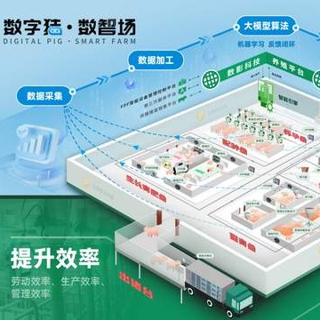 天农食品转战港股：猪企的&ldquo;二次突围&rdquo;与隐忧