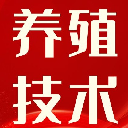 辟谣！哺乳母猪断奶前不能盲目减料，很多猪场都做错了