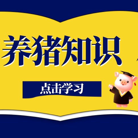 丹系、美系、杜洛克到底差在哪？