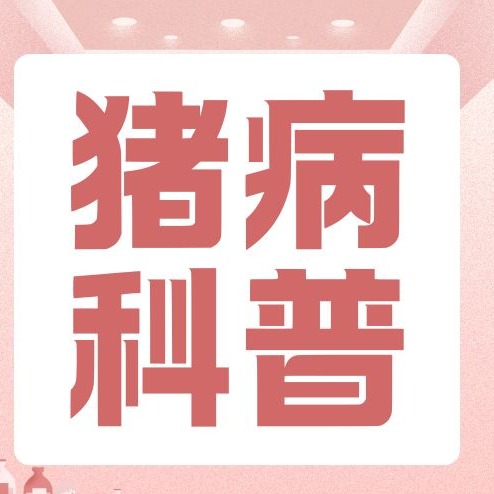 仔猪腹泻是什么导致的？如何有效防控？