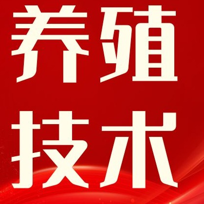 各阶段猪脱肛的简易处理方法，值得收藏！