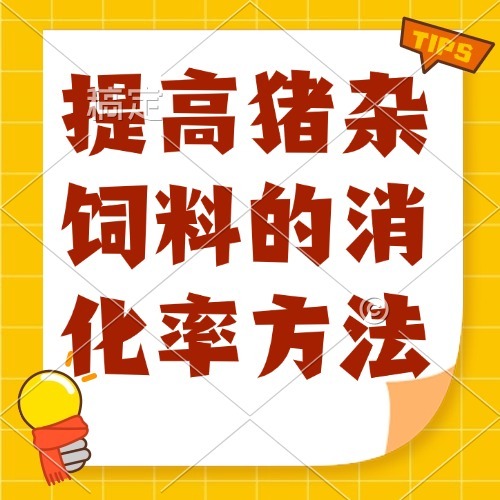 提高猪杂饲料的消化率方法