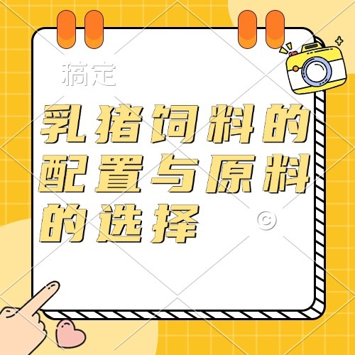 乳猪饲料的配置与原料的选择