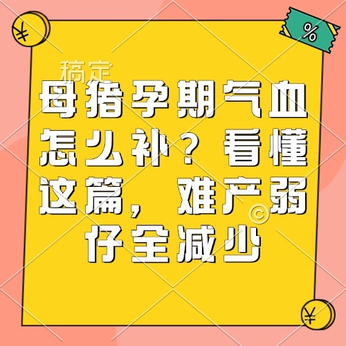 母猪孕期气血怎么补？看懂这篇，难产弱仔全减少